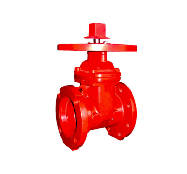 Flaged x Mechanical Joint NRS Gate Valve